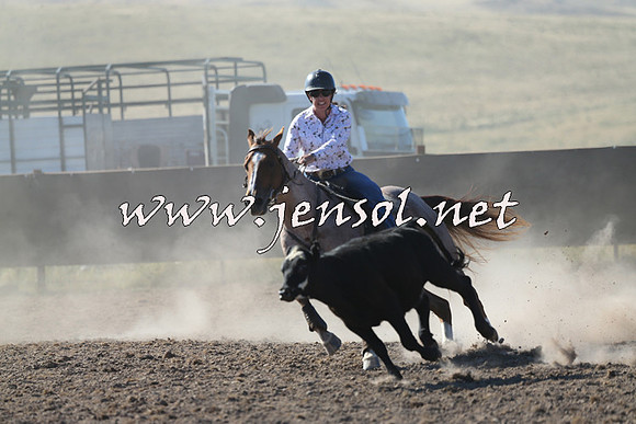 AdaminabyCampdraft2014_0734