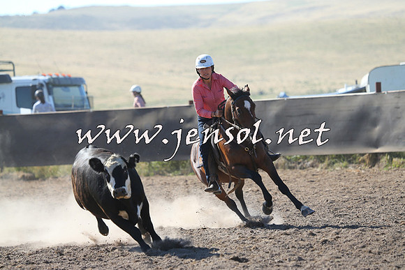 AdaminabyCampdraft2014_0751