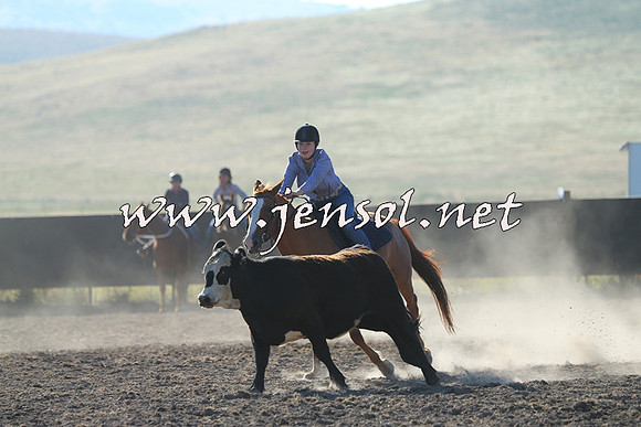AdaminabyCampdraft2014_0693