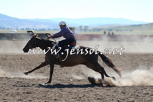 AdaminabyCampdraft2014_0817