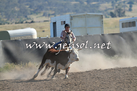 AdaminabyCampdraft2014_0721