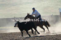 AdaminabyCampdraft2014_0716