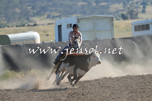AdaminabyCampdraft2014_0722