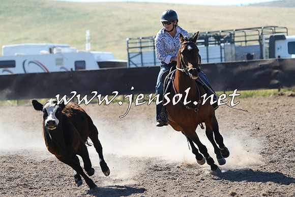 AdaminabyCampdraft2014_0784
