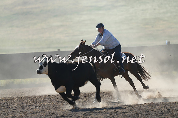 AdaminabyCampdraft2014_0715