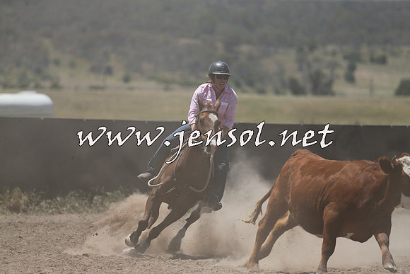 AdaminabyCampdraft2014_0363