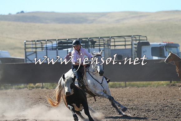 AdaminabyCampdraft2014_0740