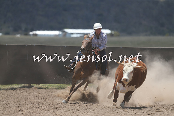 AdaminabyCampdraft2014_0318