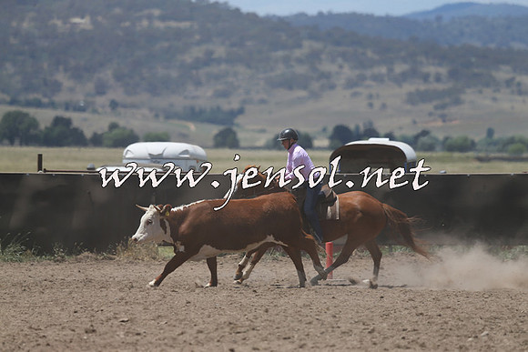 AdaminabyCampdraft2014_0309
