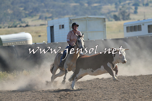 AdaminabyCampdraft2014_0720