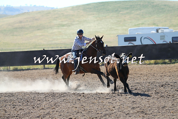 AdaminabyCampdraft2014_0777