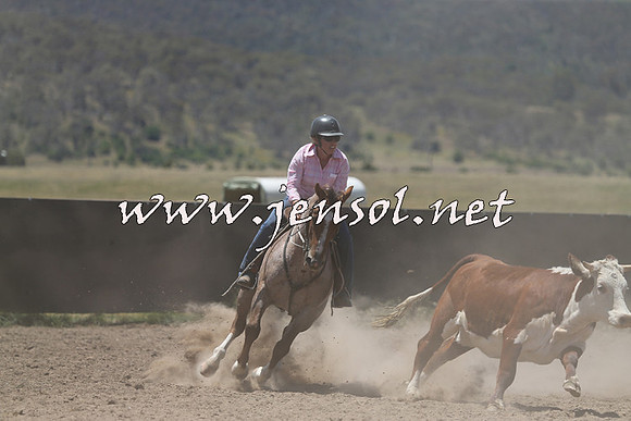 AdaminabyCampdraft2014_0343