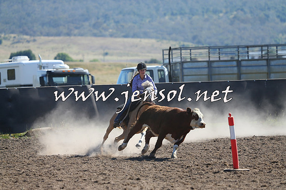 AdaminabyCampdraft2014_0792