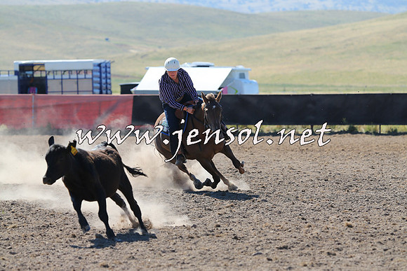 AdaminabyCampdraft2014_0812