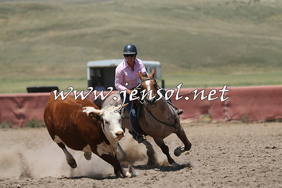 AdaminabyCampdraft2014_0347