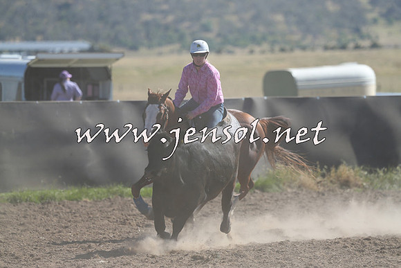 AdaminabyCampdraft2014_0796