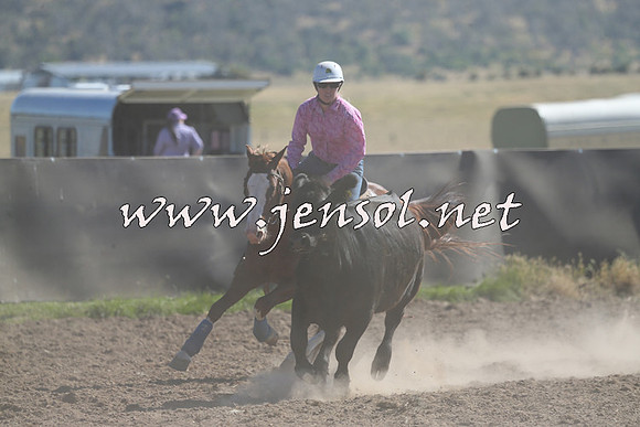 AdaminabyCampdraft2014_0799