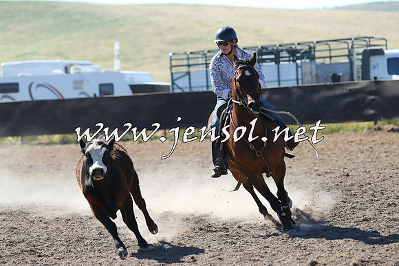 AdaminabyCampdraft2014_0785