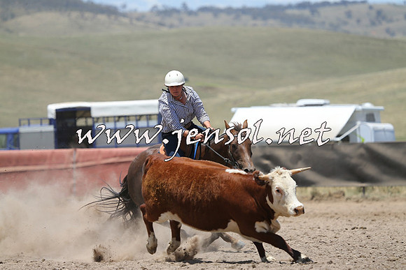 AdaminabyCampdraft2014_0327