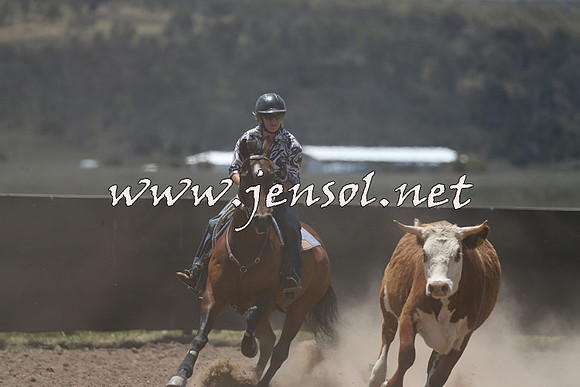 AdaminabyCampdraft2014_0312