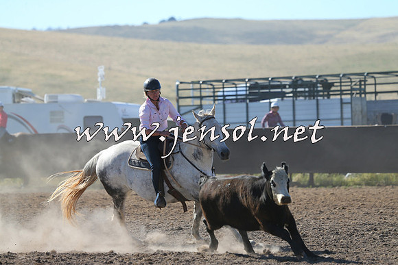 AdaminabyCampdraft2014_0736