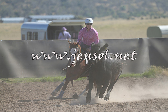 AdaminabyCampdraft2014_0798