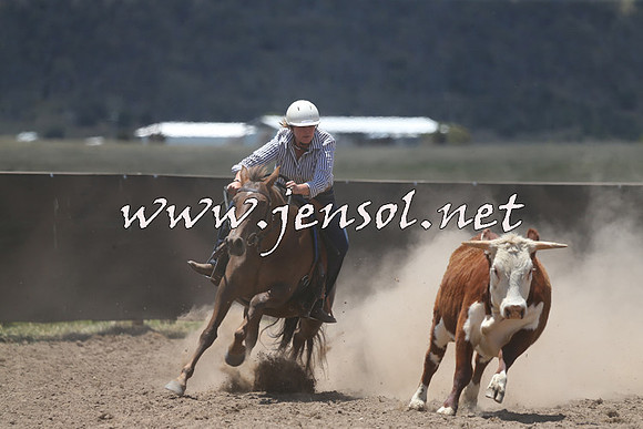 AdaminabyCampdraft2014_0323