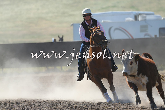 AdaminabyCampdraft2014_0770