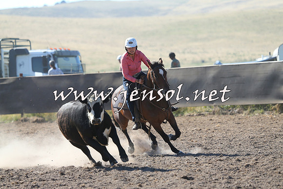 AdaminabyCampdraft2014_0750