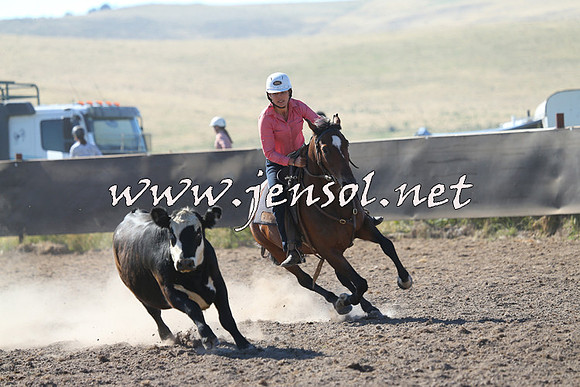 AdaminabyCampdraft2014_0747