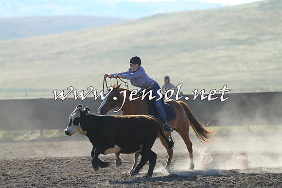 AdaminabyCampdraft2014_0694