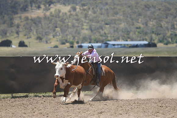AdaminabyCampdraft2014_0295