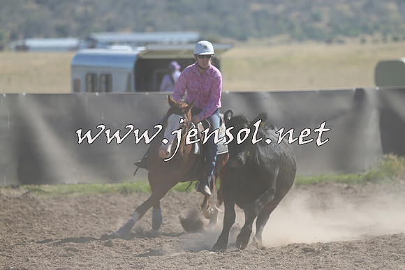 AdaminabyCampdraft2014_0797