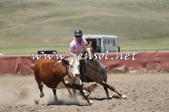 AdaminabyCampdraft2014_0348