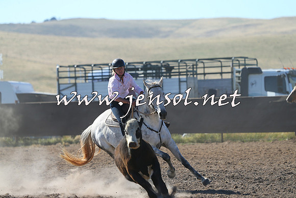 AdaminabyCampdraft2014_0738