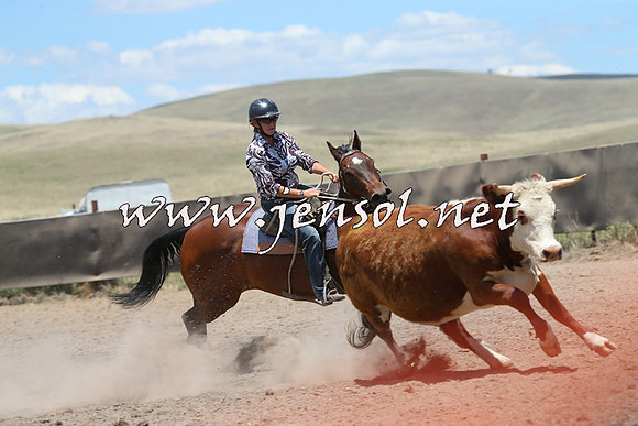AdaminabyCampdraft2014_0316