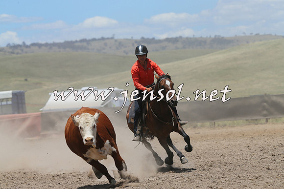 AdaminabyCampdraft2014_0287