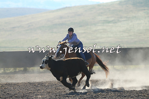 AdaminabyCampdraft2014_0695
