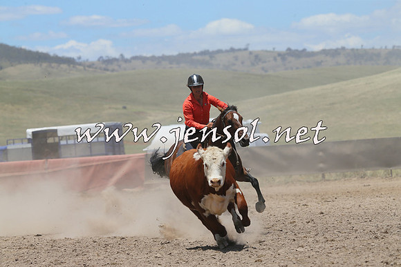 AdaminabyCampdraft2014_0283