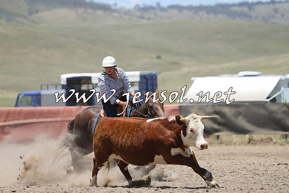 AdaminabyCampdraft2014_0328