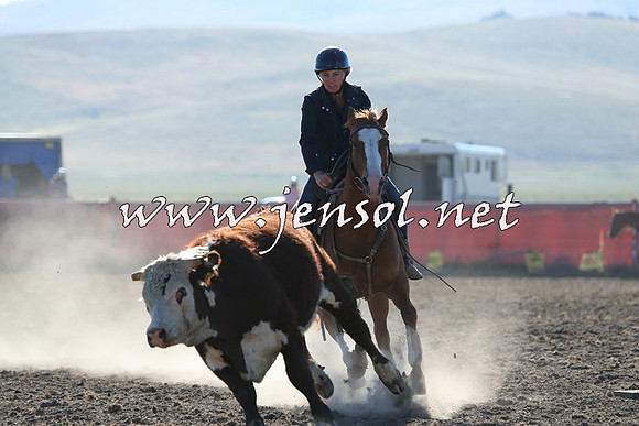 AdaminabyCampdraft2014_0705