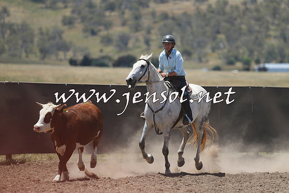 AdaminabyCampdraft2014_0335
