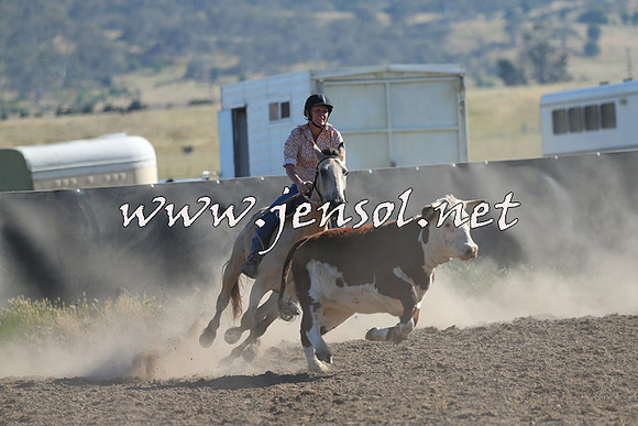 AdaminabyCampdraft2014_0719