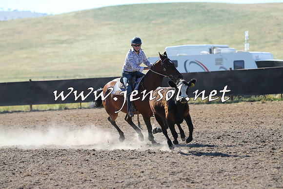 AdaminabyCampdraft2014_0781