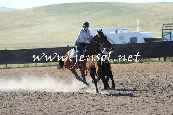AdaminabyCampdraft2014_0783