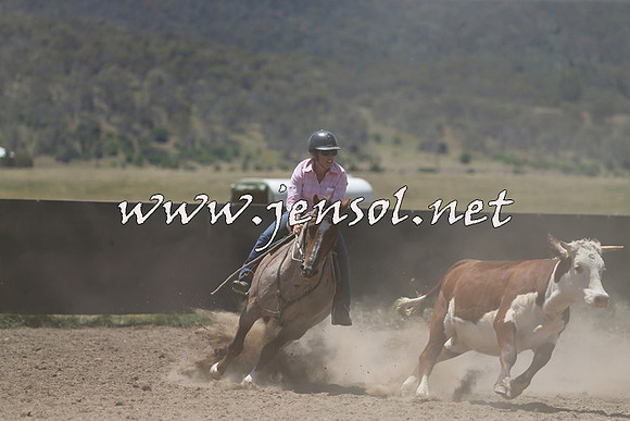 AdaminabyCampdraft2014_0344