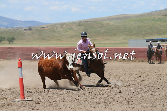 AdaminabyCampdraft2014_0368