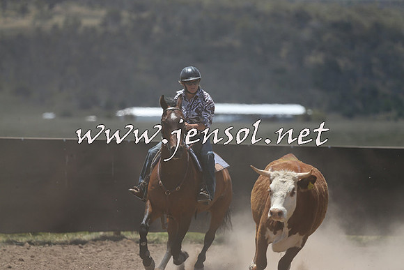 AdaminabyCampdraft2014_0313
