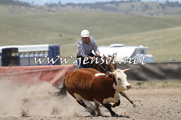 AdaminabyCampdraft2014_0325