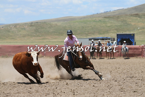 AdaminabyCampdraft2014_0367